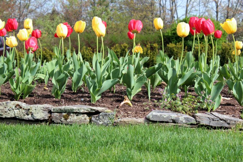 Stone Edging Installation in Worcester, MA